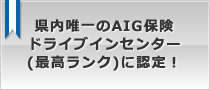 BAIGیhCuCZ^[(ōN)ɔFI